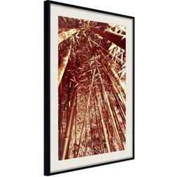 Arkiio Affisch Tall Bamboos [Poster] 20x30 Poster